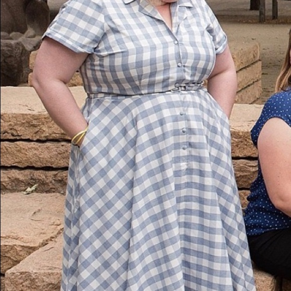 Unique Vintage blue & white plaid